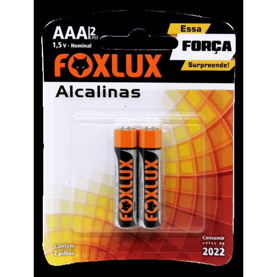 PILHA FOXLUX ALCALINA PALITO AAA C/2 CART 1
