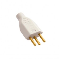 PINO MACHO 2P+T FAME CZA 10A 1729 PC 1