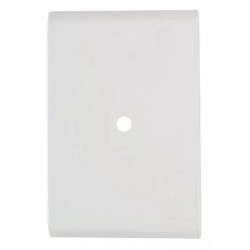 PLACA LIZ 4X2 1 FURO 9,5MM BRANCA 106002 PC 1