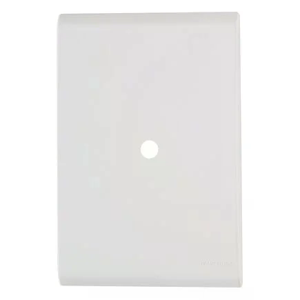 PLACA LIZ 4X2 1 FURO 9,5MM BRANCA 106002 PC 1