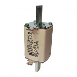 FUSIVEL NH JNG RETARDADO 01 -250A CF 1