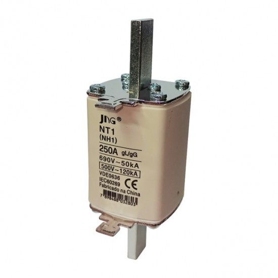 FUSIVEL NH JNG RETARDADO 01 -250A CF 1