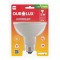 LAMP.PAR 38 LED OUROLUX 12W 6500K IP65 PC 1