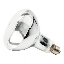 LAMP.SECAGEM BRASFORT 250X220V 8464 PC 1