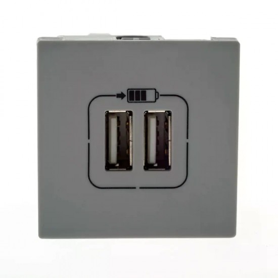 MODULO PIAL PLUS+ CZA TOMADA 2 USB 615089CZ PC 1