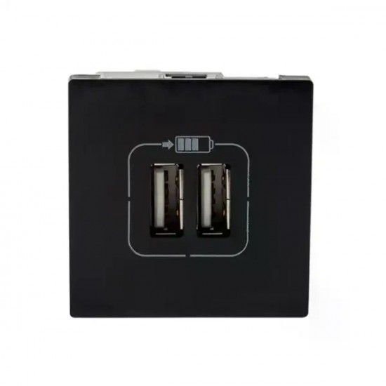 MODULO PIAL PLUS+ PTO TOMADA 2 USB 615089PT PC 1